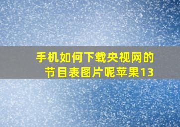 手机如何下载央视网的节目表图片呢苹果13