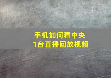 手机如何看中央1台直播回放视频