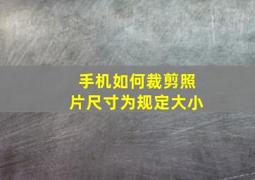 手机如何裁剪照片尺寸为规定大小