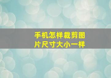 手机怎样裁剪图片尺寸大小一样