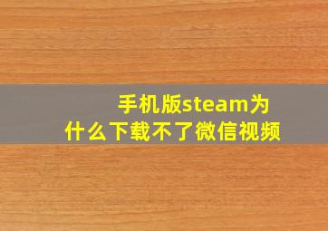 手机版steam为什么下载不了微信视频