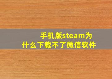 手机版steam为什么下载不了微信软件