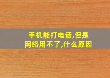 手机能打电话,但是网络用不了,什么原因