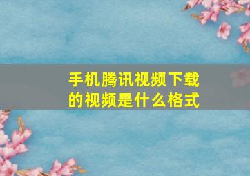 手机腾讯视频下载的视频是什么格式