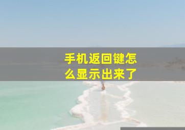 手机返回键怎么显示出来了