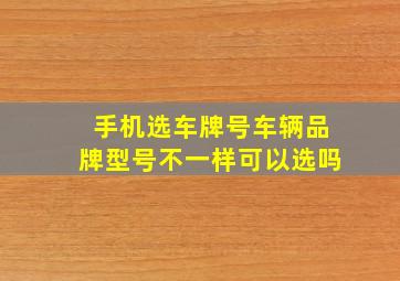 手机选车牌号车辆品牌型号不一样可以选吗