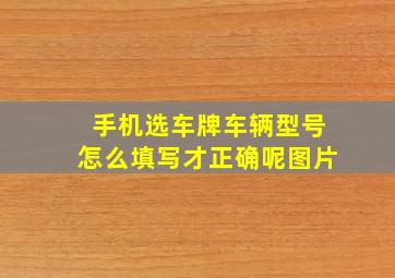 手机选车牌车辆型号怎么填写才正确呢图片