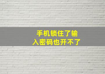 手机锁住了输入密码也开不了