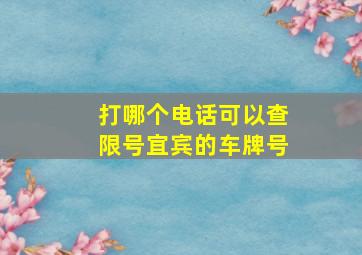 打哪个电话可以查限号宜宾的车牌号