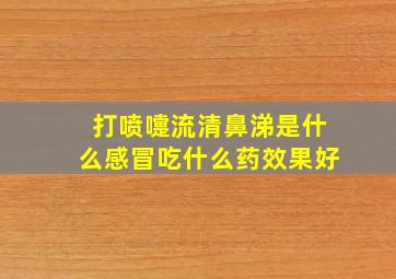 打喷嚏流清鼻涕是什么感冒吃什么药效果好