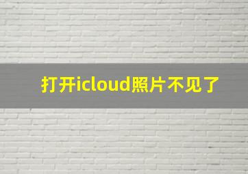 打开icloud照片不见了