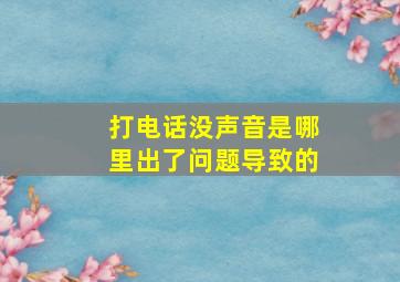 打电话没声音是哪里出了问题导致的