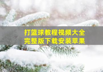 打篮球教程视频大全完整版下载安装苹果