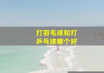 打羽毛球和打乒乓球哪个好