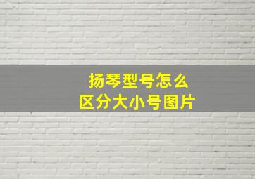 扬琴型号怎么区分大小号图片