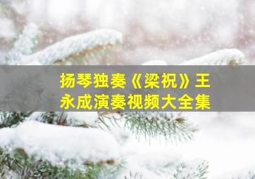 扬琴独奏《梁祝》王永成演奏视频大全集