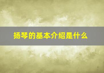 扬琴的基本介绍是什么