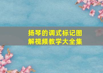 扬琴的调式标记图解视频教学大全集