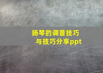 扬琴的调音技巧与技巧分享ppt