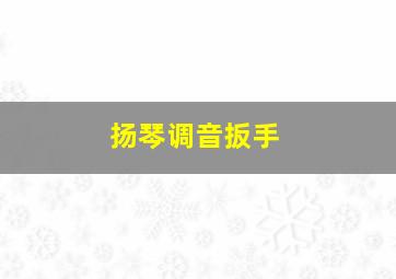 扬琴调音扳手