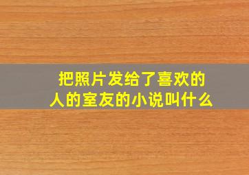 把照片发给了喜欢的人的室友的小说叫什么