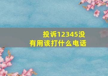 投诉12345没有用该打什么电话