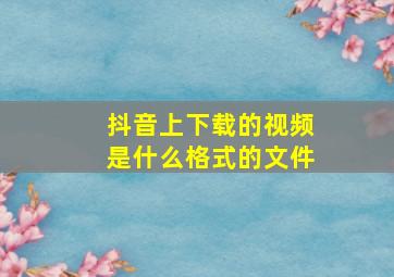 抖音上下载的视频是什么格式的文件