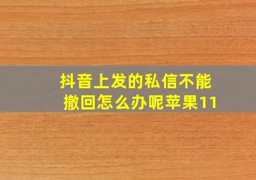 抖音上发的私信不能撤回怎么办呢苹果11