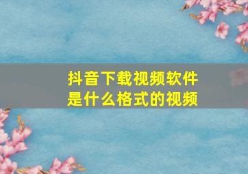 抖音下载视频软件是什么格式的视频