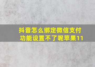 抖音怎么绑定微信支付功能设置不了呢苹果11