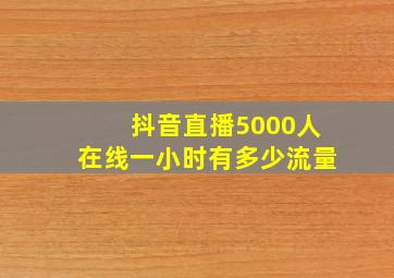 抖音直播5000人在线一小时有多少流量