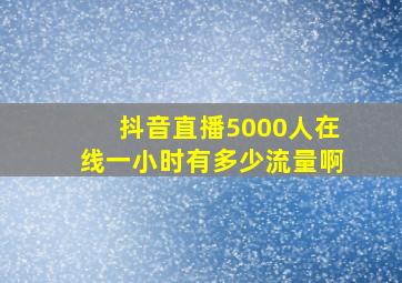 抖音直播5000人在线一小时有多少流量啊