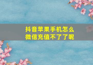 抖音苹果手机怎么微信充值不了了呢