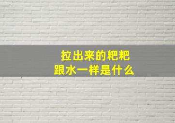 拉出来的粑粑跟水一样是什么