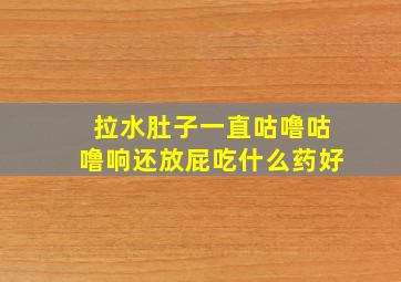 拉水肚子一直咕噜咕噜响还放屁吃什么药好