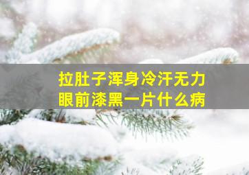 拉肚子浑身冷汗无力眼前漆黑一片什么病