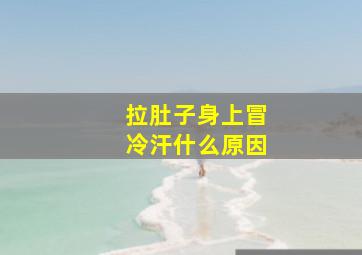 拉肚子身上冒冷汗什么原因