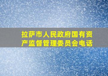 拉萨市人民政府国有资产监督管理委员会电话