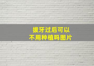 拔牙过后可以不用种植吗图片