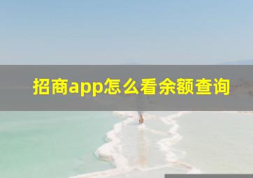 招商app怎么看余额查询