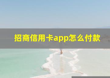 招商信用卡app怎么付款