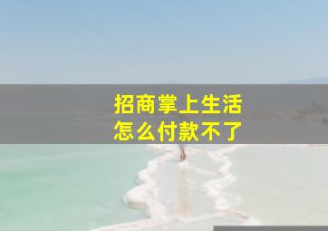 招商掌上生活怎么付款不了