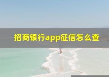 招商银行app征信怎么查