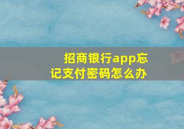 招商银行app忘记支付密码怎么办