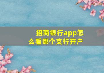 招商银行app怎么看哪个支行开户