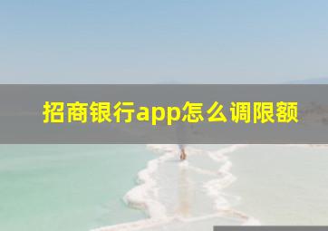 招商银行app怎么调限额