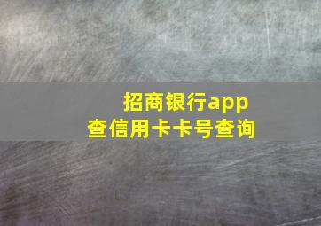 招商银行app查信用卡卡号查询