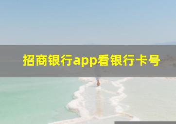 招商银行app看银行卡号