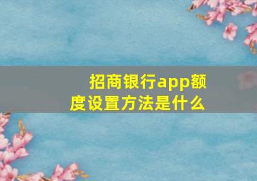 招商银行app额度设置方法是什么