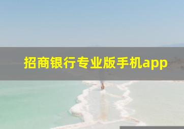 招商银行专业版手机app